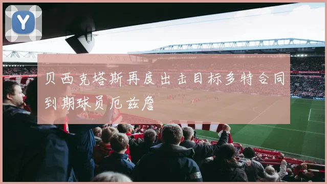 贝西克塔斯再度出击目标多特合同到期球员厄兹詹